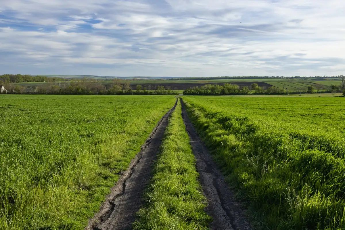 Quiet rural road running between green fields under a partly cloudy sky